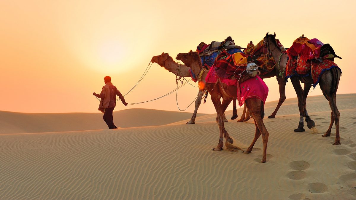 Essential Things to Do in Jaisalmer