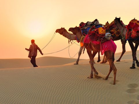 Essential Things to Do in Jaisalmer