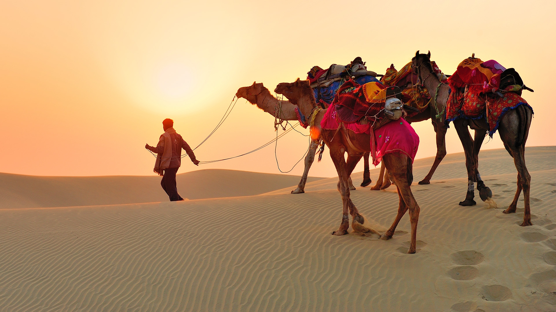 Essential Things to Do in Jaisalmer
