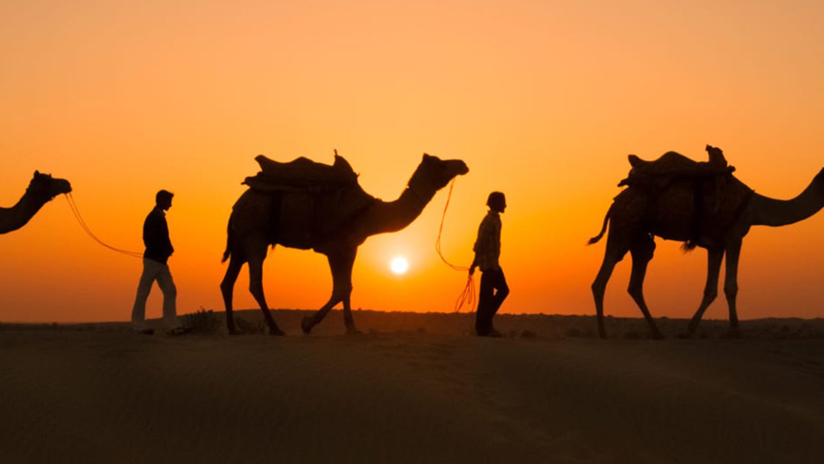 Go Rajasthan Travel is the Best DMC in Rajasthan