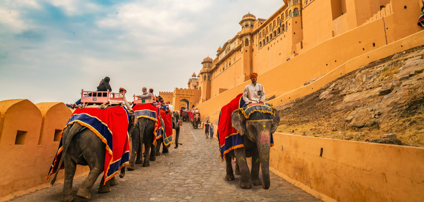 Go Rajasthan Travel is the Best Rajasthan B2B Travel Company