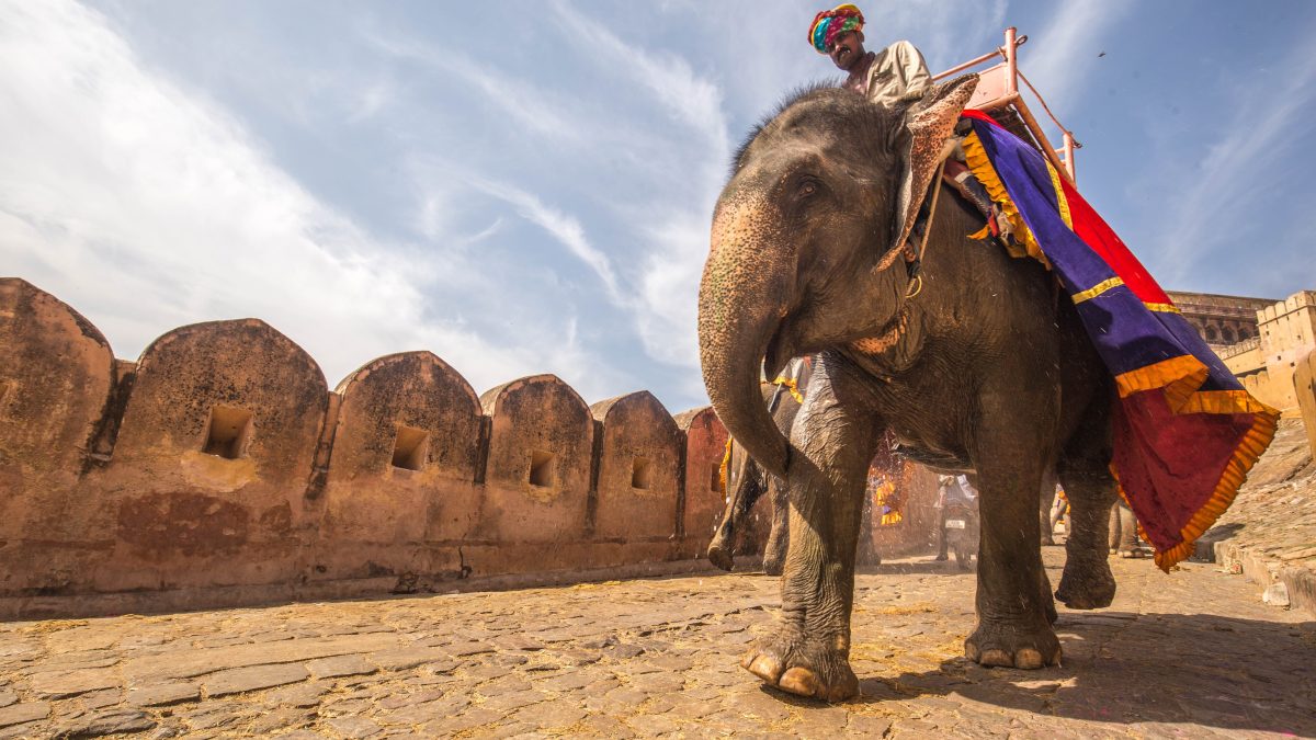 Amer Fort, Jaipur