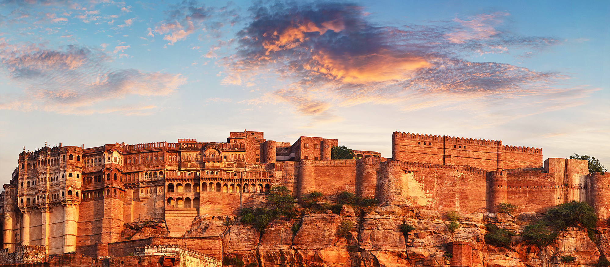 Get To Enjoy The Best Trip of The Year By Visiting Go Rajasthan Travel