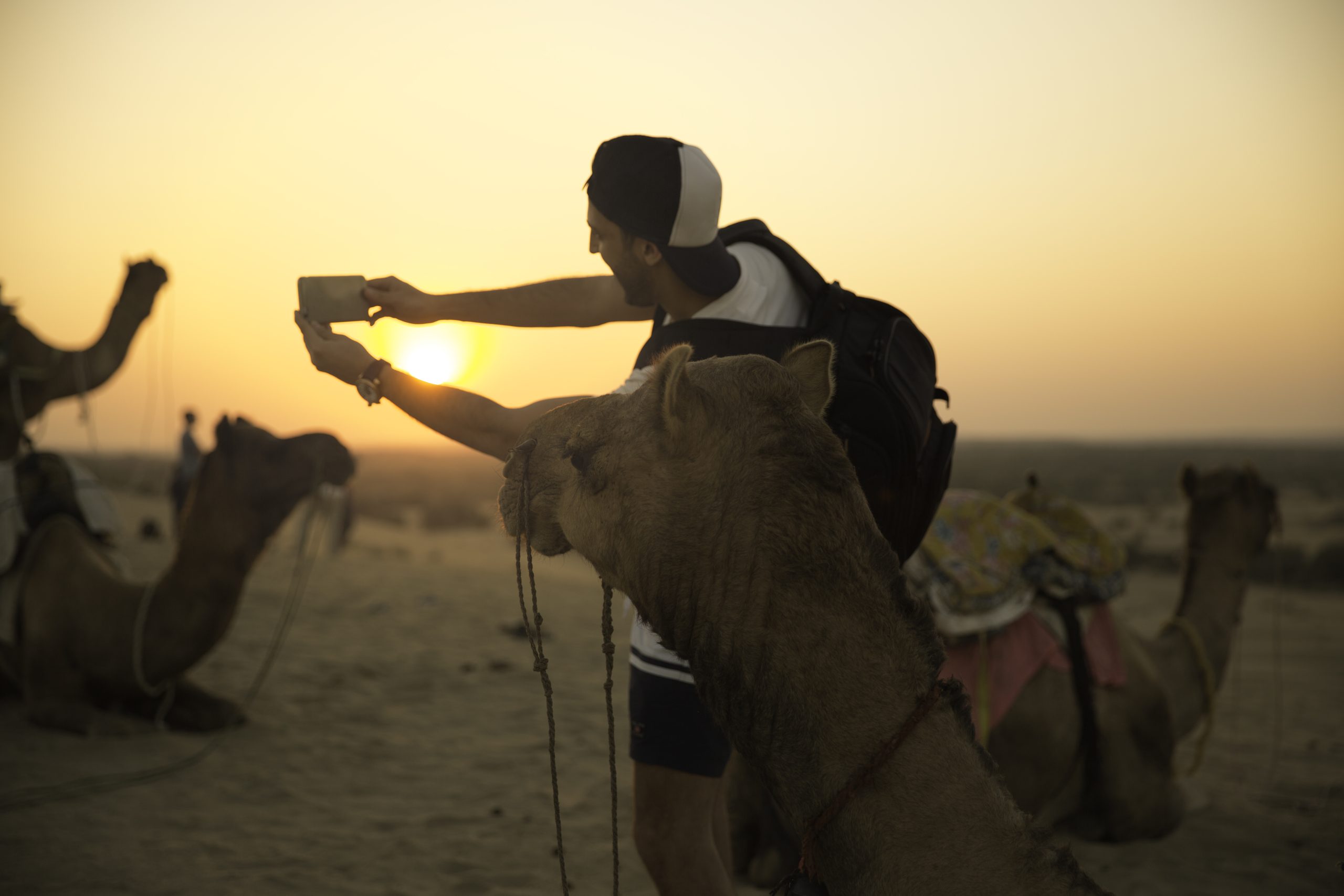 Get Idea About Rajasthan Adventure Tours By Hiring Us
