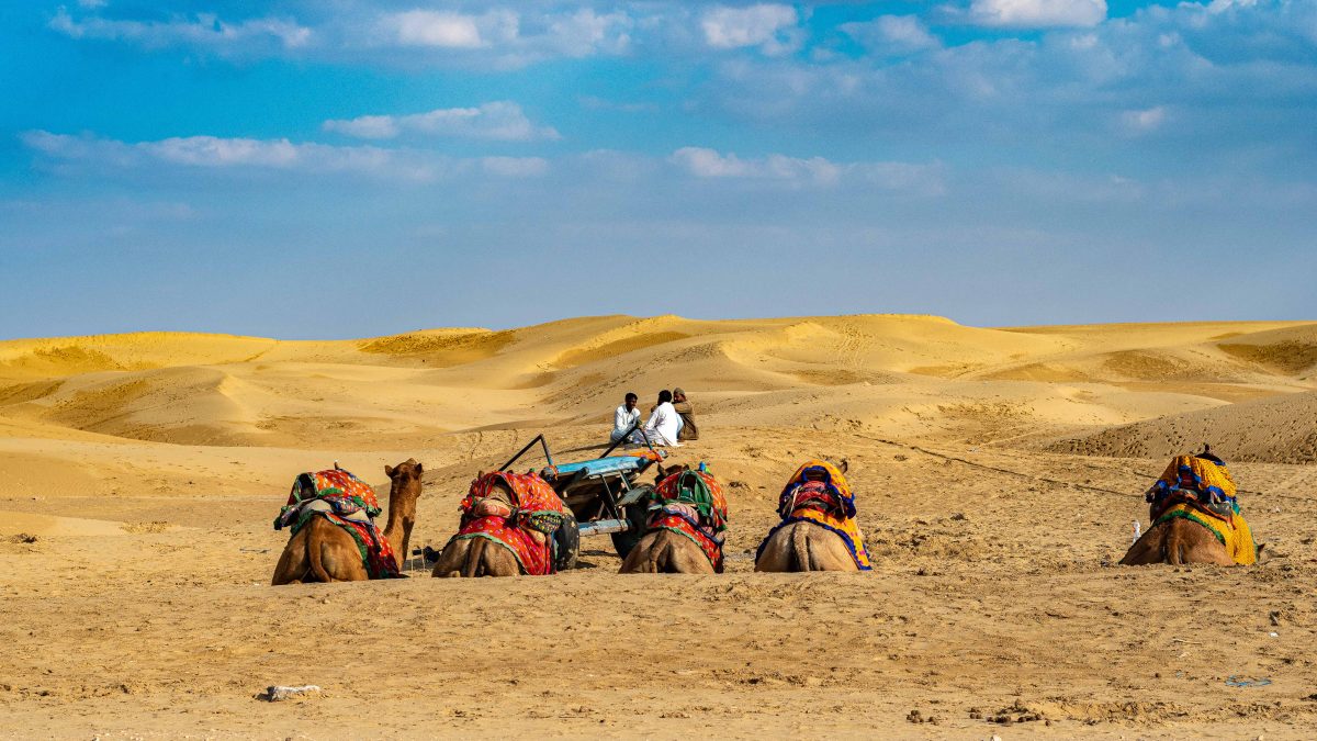 Exploring Rajasthan with the Premier B2B Travel Company: Go Rajasthan