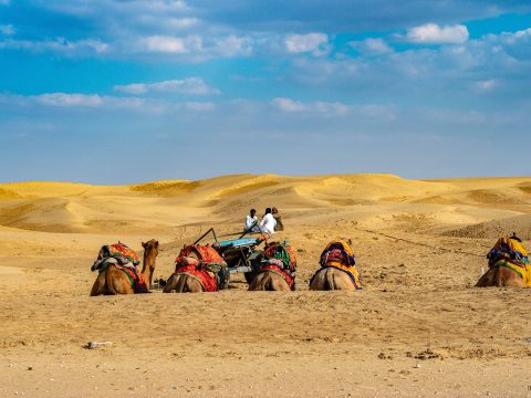 Exploring Rajasthan with the Premier B2B Travel Company: Go Rajasthan