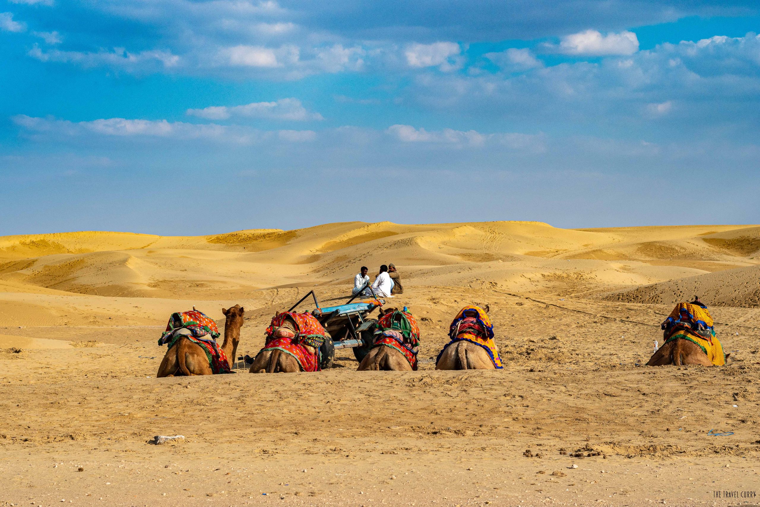 Exploring Rajasthan with the Premier B2B Travel Company: Go Rajasthan