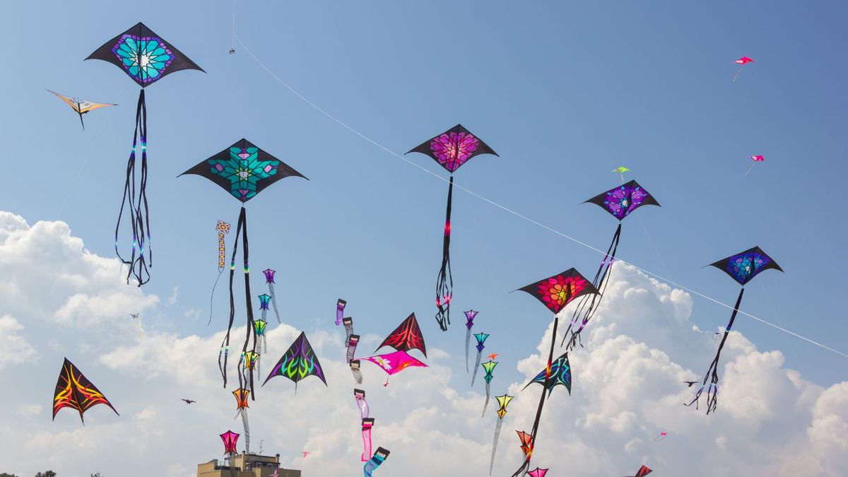 Soar to the Skies: Immerse Yourself in the Splendor of Kite Festival Tours with DMC for Rajasthan