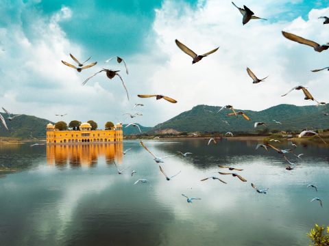 Embark on a Mesmerizing Journey: Unveiling the Splendors of Jaipur with DMC for Rajasthan