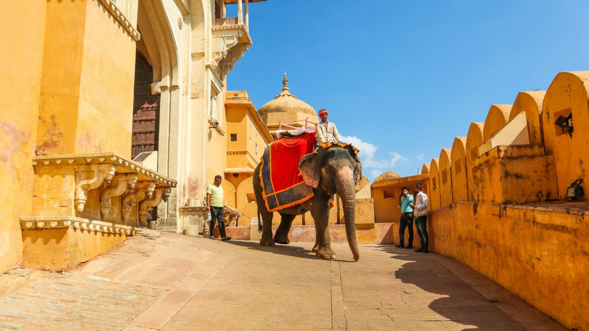 Discover the Royal Heritage: Rajasthan Tour Packages from Kolkata