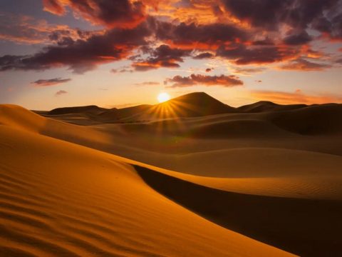 Thrilling Quad Biking Experience in the Golden Dunes of Jaisalmer