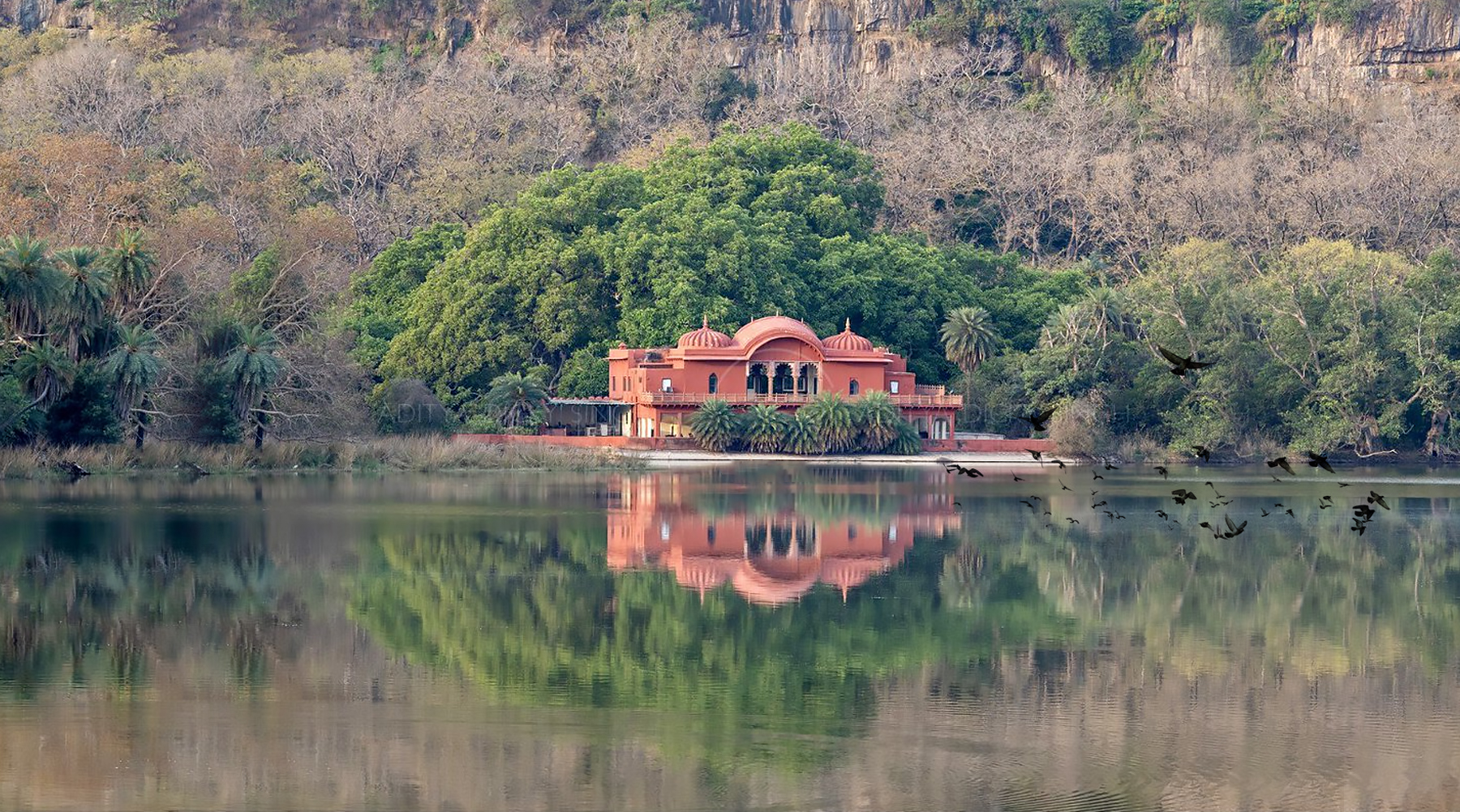 Discover the Thrills of a Safari Adventure in Ranthambore