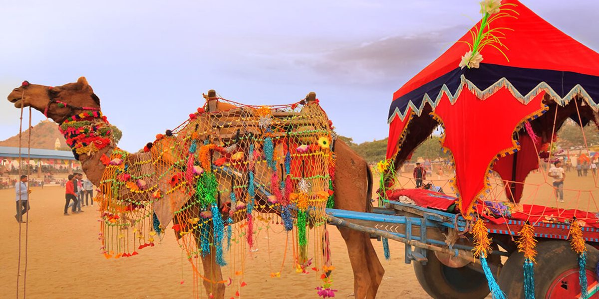 Rajasthan Day Celebration with Go Rajasthan Travel: A Grand Festive Experience