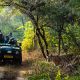Discover the Wild Beauty of Sawai Madhopur: A Journey into Nature and Heritage