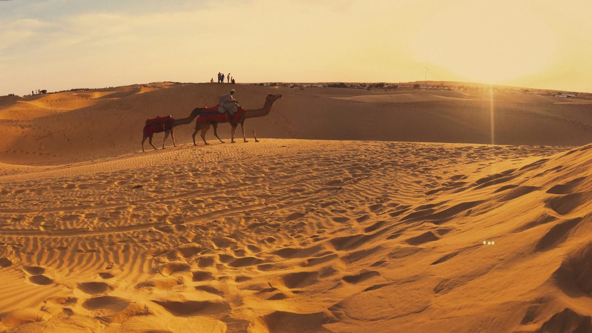 Celebrate Raksha Bandhan with Your Brother in the Heart of Jaisalmer
