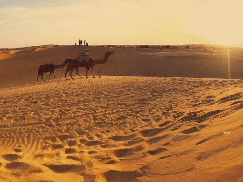Celebrate Raksha Bandhan with Your Brother in the Heart of Jaisalmer