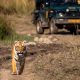 Best Places to Explore in Ranthambore in July: A Monsoon Safari Delight