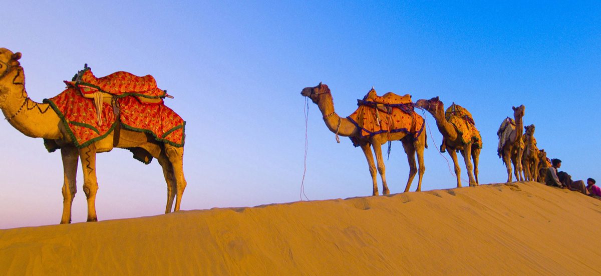 Royal Rajasthan Odyssey: Jaipur Jodhpur Jaisalmer Group Tour 06 Nights / 07 Days