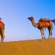 Royal Rajasthan Odyssey: Jaipur Jodhpur Jaisalmer Group Tour 06 Nights / 07 Days