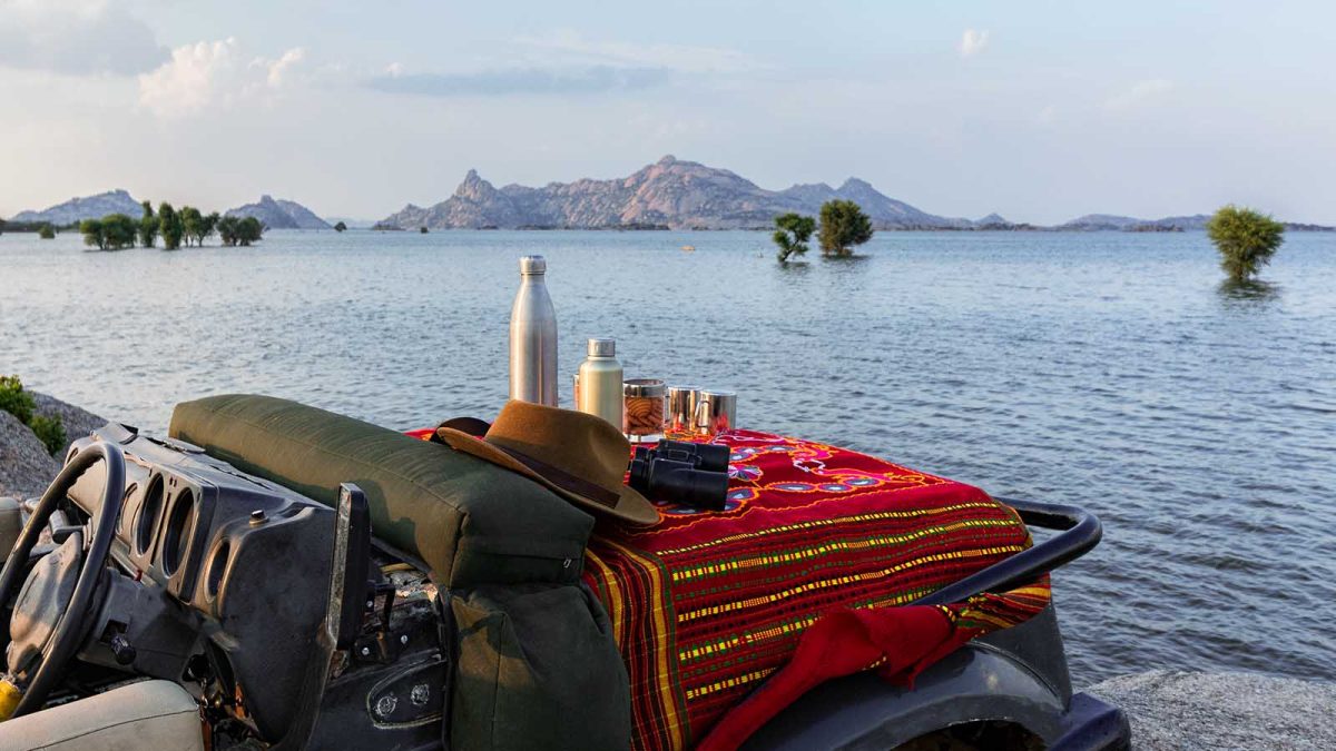 Discover the Best Month for an Unforgettable Rajasthan Wildlife Tour