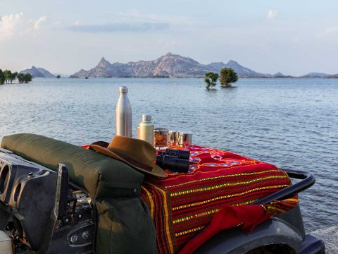 Discover the Best Month for an Unforgettable Rajasthan Wildlife Tour