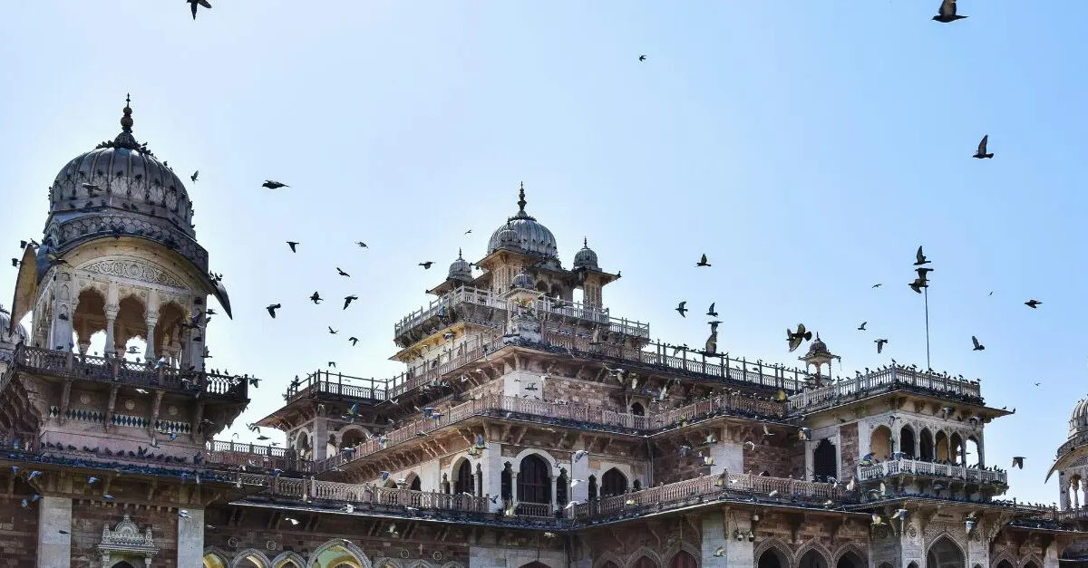 Festive Christmas and New Year Celebrations Across Rajasthan