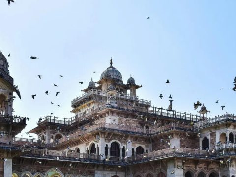 Festive Christmas and New Year Celebrations Across Rajasthan