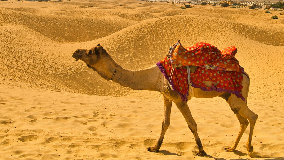 Discover the UNESCO World Heritage Sites in Rajasthan – A Timeless Journey Through Royal Grandeur