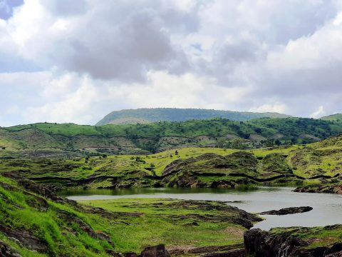 Experience the Best New Year Getaways in Udaipur