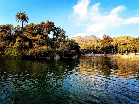 Experience the Vibrant Summer Festival Celebration in Rajasthan