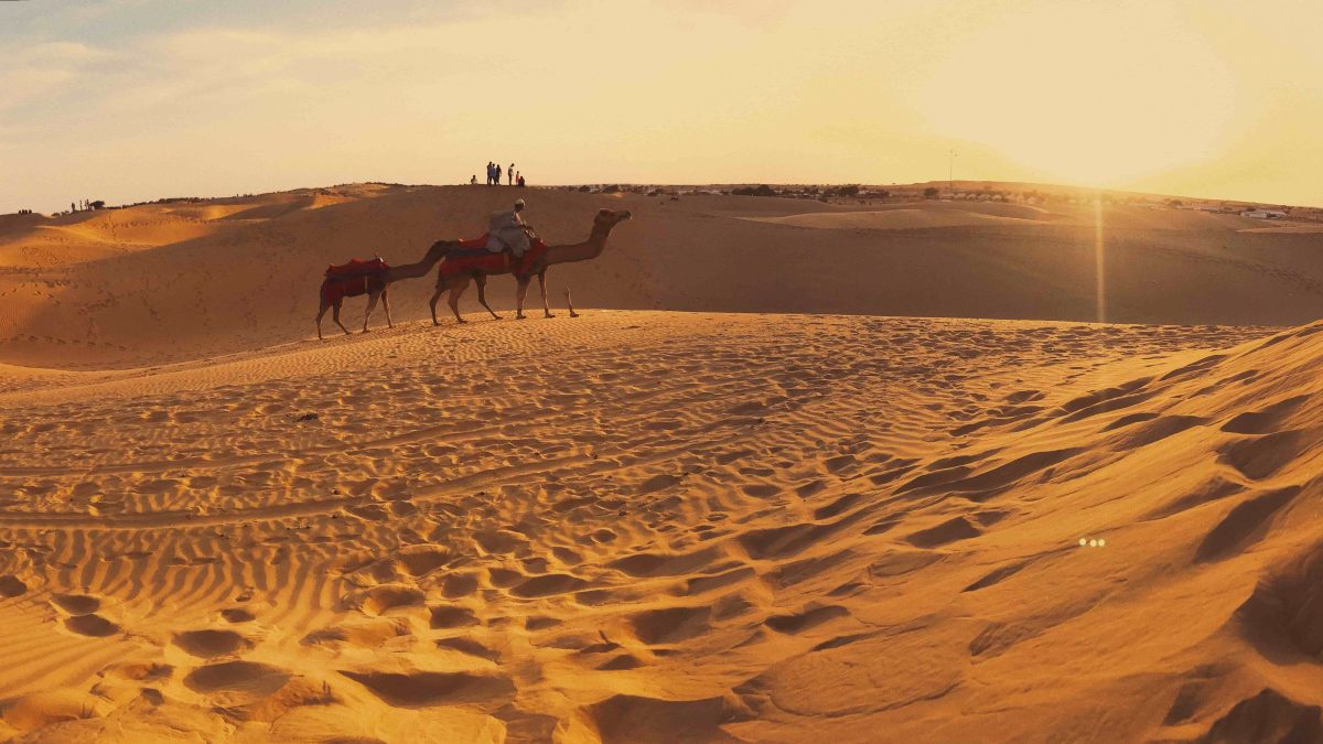 Go Rajasthan – Trusted Rajasthan Based DMC for Memorable Travel Experiences