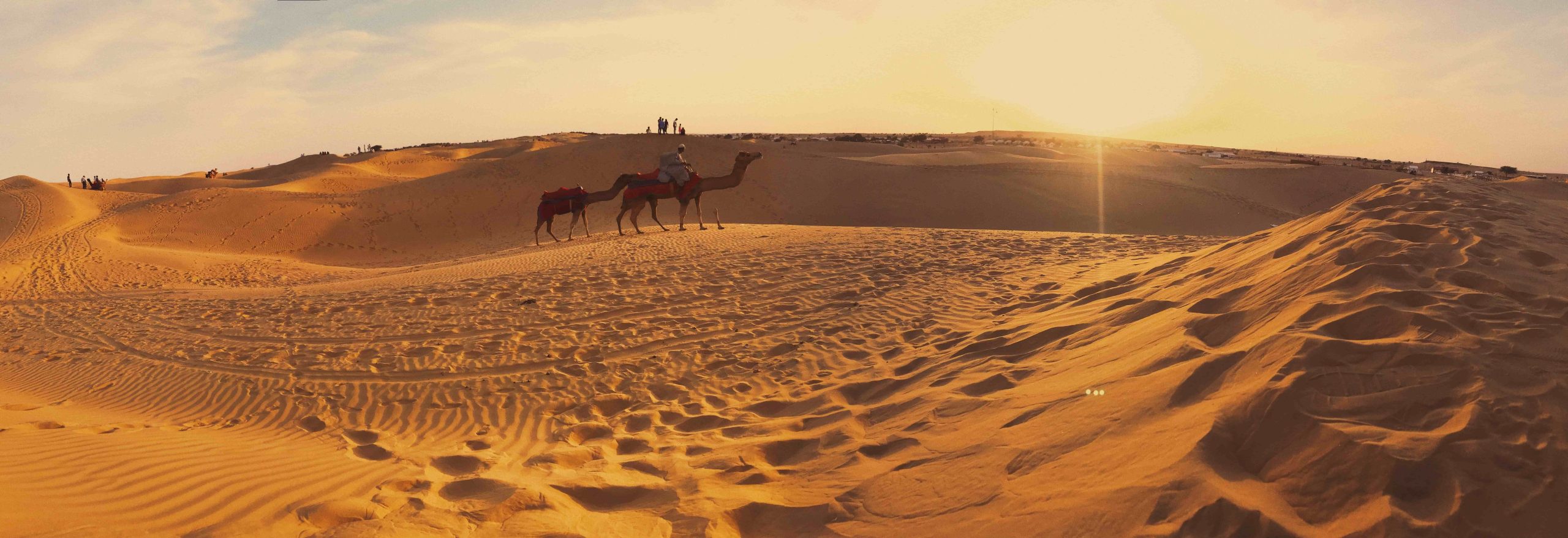 Go Rajasthan – Trusted Rajasthan Based DMC for Memorable Travel Experiences