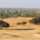 How a Jaisalmer DMC Makes Travel Planning Stress-Free