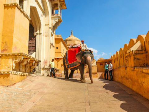 Weekend Travel Ideas in Rajasthan for Nature and Adventure Lovers