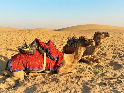 How to Plan the Perfect Rajasthan Group Trip without the Stress