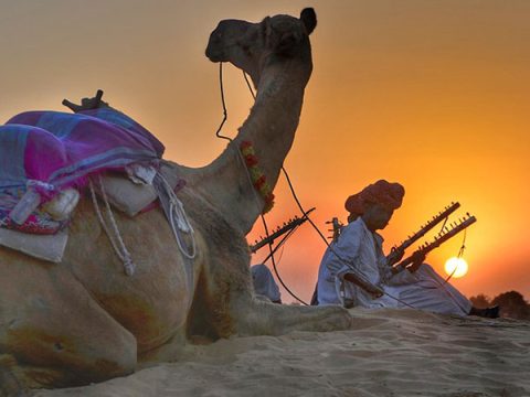 Pushkar DMC: Your Trusted Partner for Seamless Rajasthan Tours