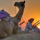 Pushkar DMC: Your Trusted Partner for Seamless Rajasthan Tours