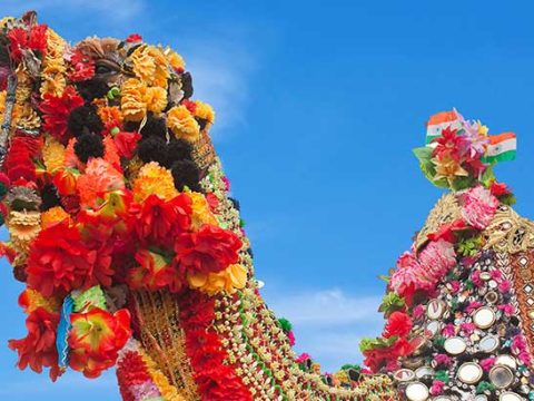 Raksha Bandhan Special: Plan an Unforgettable Rajasthan Family Trip