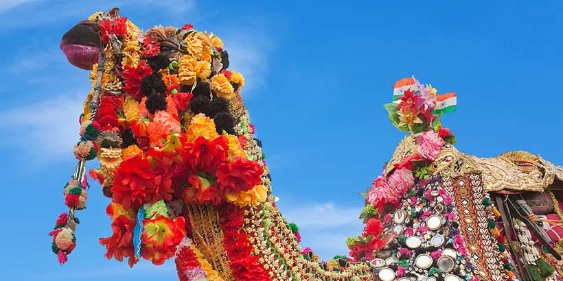 Raksha Bandhan Special: Plan an Unforgettable Rajasthan Family Trip
