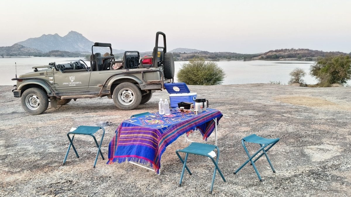 Freedom to Explore: Best Rajasthan Weekend Trips This Independence Day
