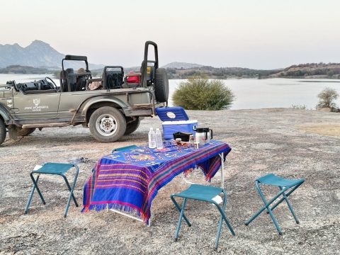 Freedom to Explore: Best Rajasthan Weekend Trips This Independence Day