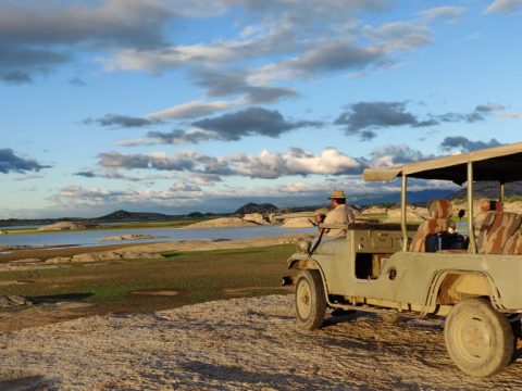 Jawai Bandh Travel Guide: Explore Rajasthan’s Leopard Country