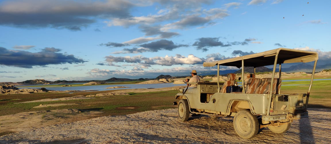 Jawai Bandh Travel Guide: Explore Rajasthan’s Leopard Country