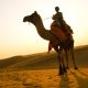 Journey through the Heart of Rajasthan: Jaipur, Jodhpur and Jaisalmer