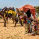 Pushkar Camel Fair: Plan an Unforgettable Journey with Pushkar Tour Packages