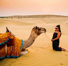 travel packages of rajasthan