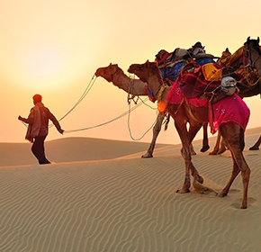 Padharo Jaisalmer 03 Days Tour