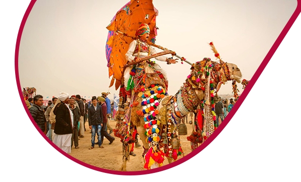 Rajasthan Fair & Festival Tours