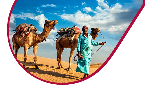 travel packages of rajasthan